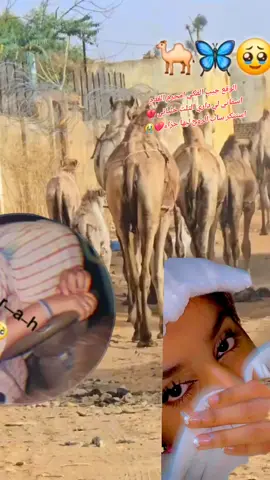 الوقع جيب الفكي امحرم القدم   اسفاني لي داري التلت خلياني 💔  استنكر ساب الروح ليها جزاء#رزيقات_تراب_الهين_نيالا_دارفور #رزيقات_السودان_الضعين_نيالا❤❤ #جاهزيه_سرعه_حسم🔥✊🥀🇸🇩 
