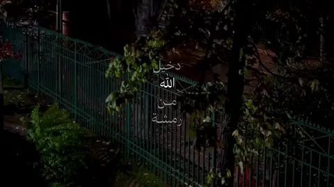 #بدون_موسيقى #شيلات #بندر_بن_عوير 