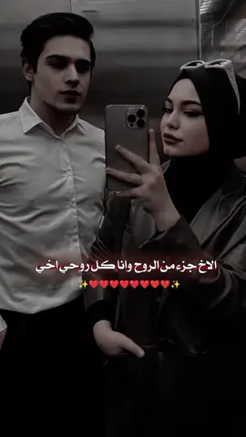 #❤️❤️❤️❤️❤️❤️❤️ 