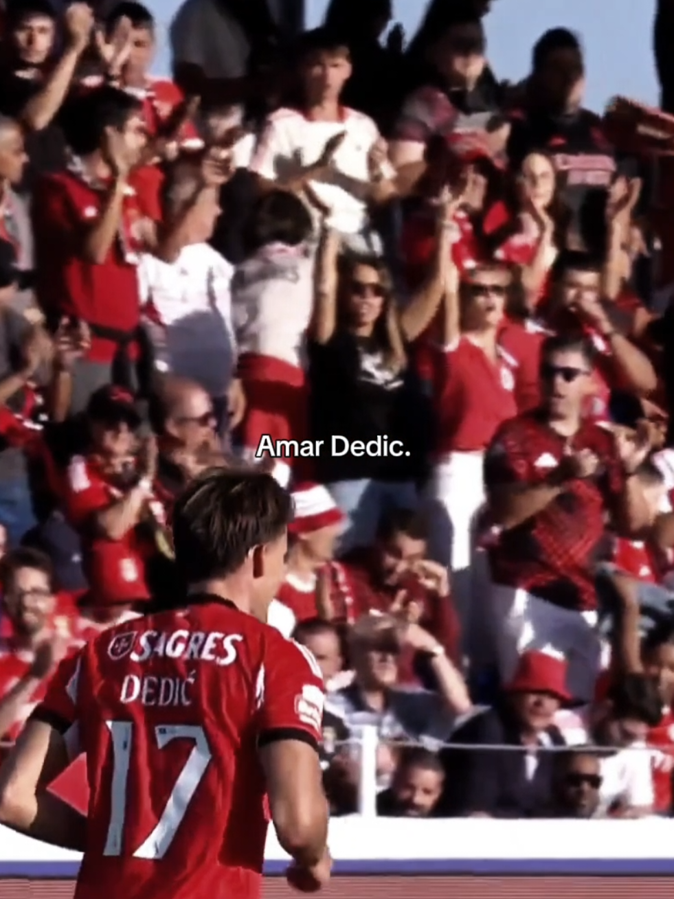 bem tentaram, mas não conseguiram. seguimos. #fyp #slbenfica #slb #benficasempre #dedic 