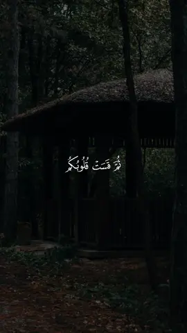 ثم قست قلوبكم...🩵 #قرآن #راحة_نفسية #قران #احمد_العجمي #quran