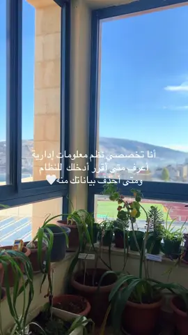 Ok? #explore #نظم_معلومات #اكسبلور #جامعة_النجاح_الوطنية #palestine 