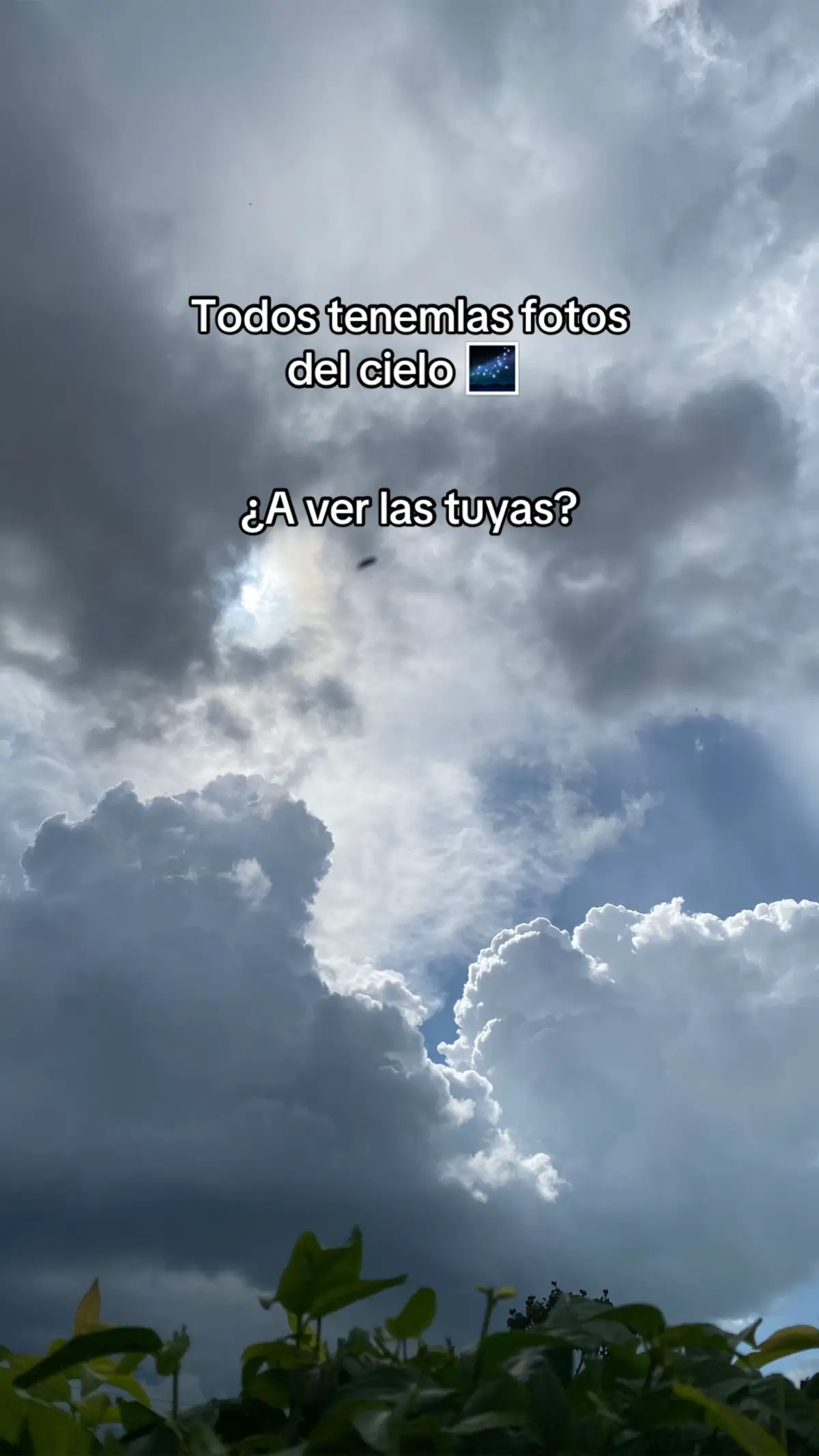 #sky #photo #naturaleza #nature #inspiration 