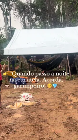 👉 “Acorda, garimpeiro! 🌞💎 O catolé tá mais gelado que ouro na enxada 🤣⛏️… levanta ou vai perder a batida do dia! #Garimpo #BomDia #Catolé”
