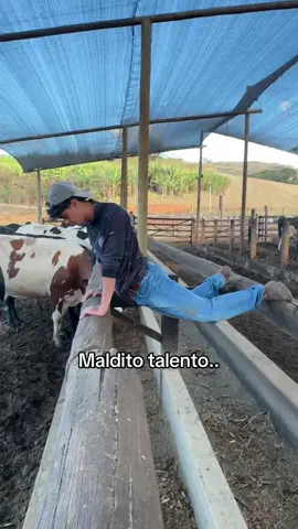 igual uma largatixa🤣🤣