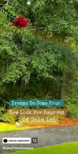 I’m I Tripping, Dreams Do Come True 