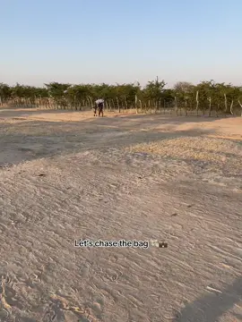 #viraltiktok #viral_video #fypシ゚viral#fyppppppppppppppppppppppp #namtiktok🇳🇦 
