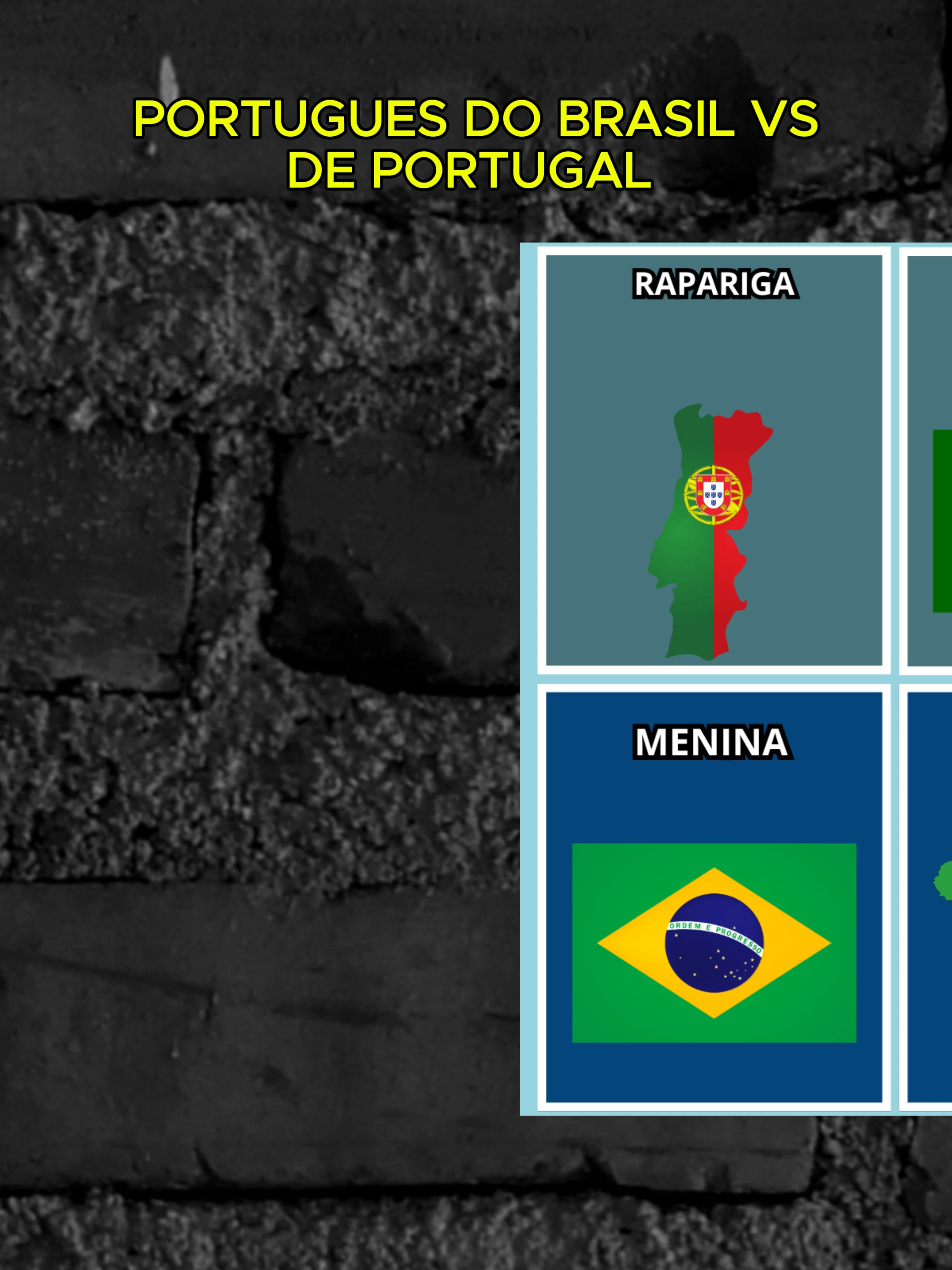 PORTUGUES DO BRASIL VSDE PORTUGAL
