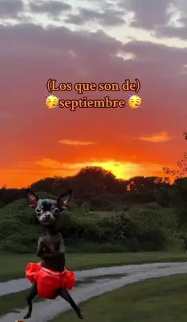 #CapCut #feliscumpleaños🌹🎂🧁🎁🎉🎊 #losque #cumplesaños #enseptiembre 