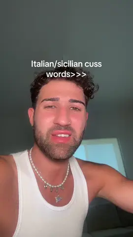 Pardon my French #italian #sicilian #cusswords 