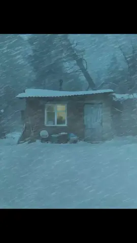 old house memories and snowfall #foru #cozy #tending 