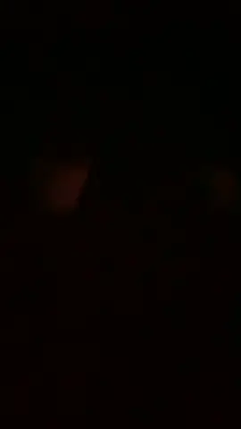 @mardeebackup2 