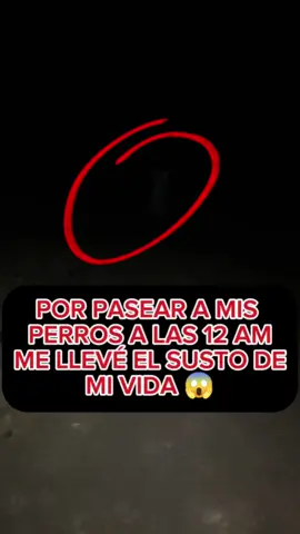 Por pasear a mis perros a las 12 AM me llevé el susto de mi vida 😱 #perros #educacioncanina #entrenamientocanino #canecorso 