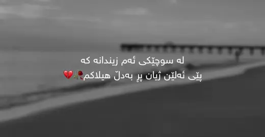 #foryoupage #parati #kurdistan #fyp 