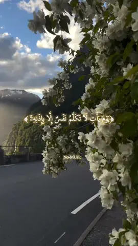 #اسلام_صبحي 🥀