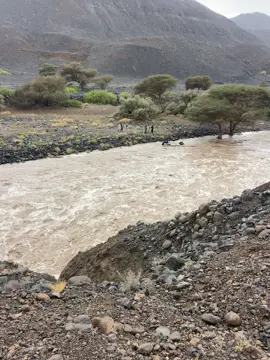 #المتابعين الشعب الصيني ماله حل 