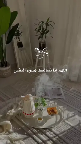 #اللهم_آمين_يارب_العالمــــــين #يارب #دعاء_يريح_القلوب🤍🤍🤲🏻 #اموشه_المحمدي #foryoupage 