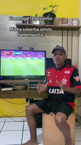 Flamengo 1x0 Grêmio #flamengo #gremio #brasileirao #campeonatobrasileiro 