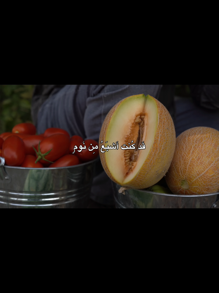 قد كنتُ أشبعُ من نومٍ #ابيات #امي #reels #اكسبلور #الشيخ_احمد_الوائلي 