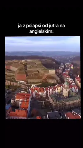 #dlaciebie #fyp #viral #niechtosiewybije 