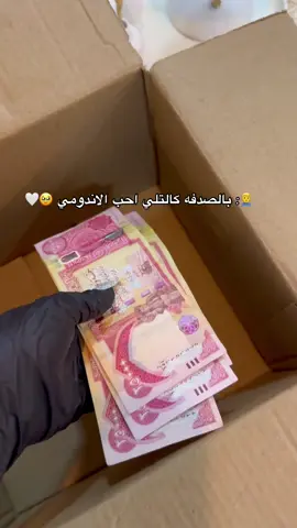 #اكسبلور_explore 