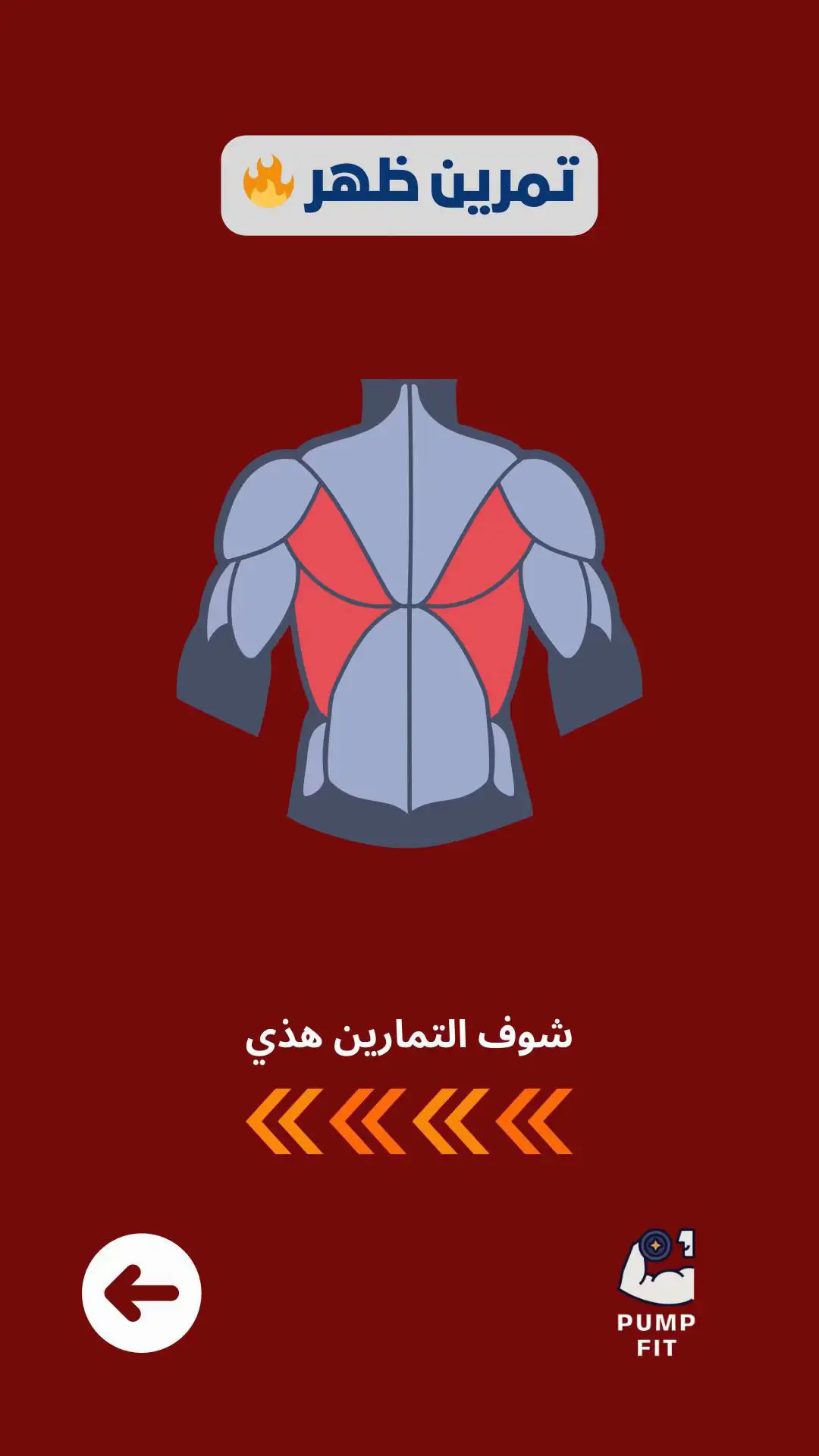 #جدول_تمارين #ظهر #بروتين #ابو_ربيعه #شبوف 