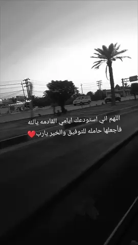 #كربلاء_مدينة_العشق_والعاشقين #مشاهدات_تيك_توك #متابعه_ولايك_واكسبلور_احبكم #متابعه_ولايك_واكسبلور_فضلا_ليس_امر #مشاهدات 