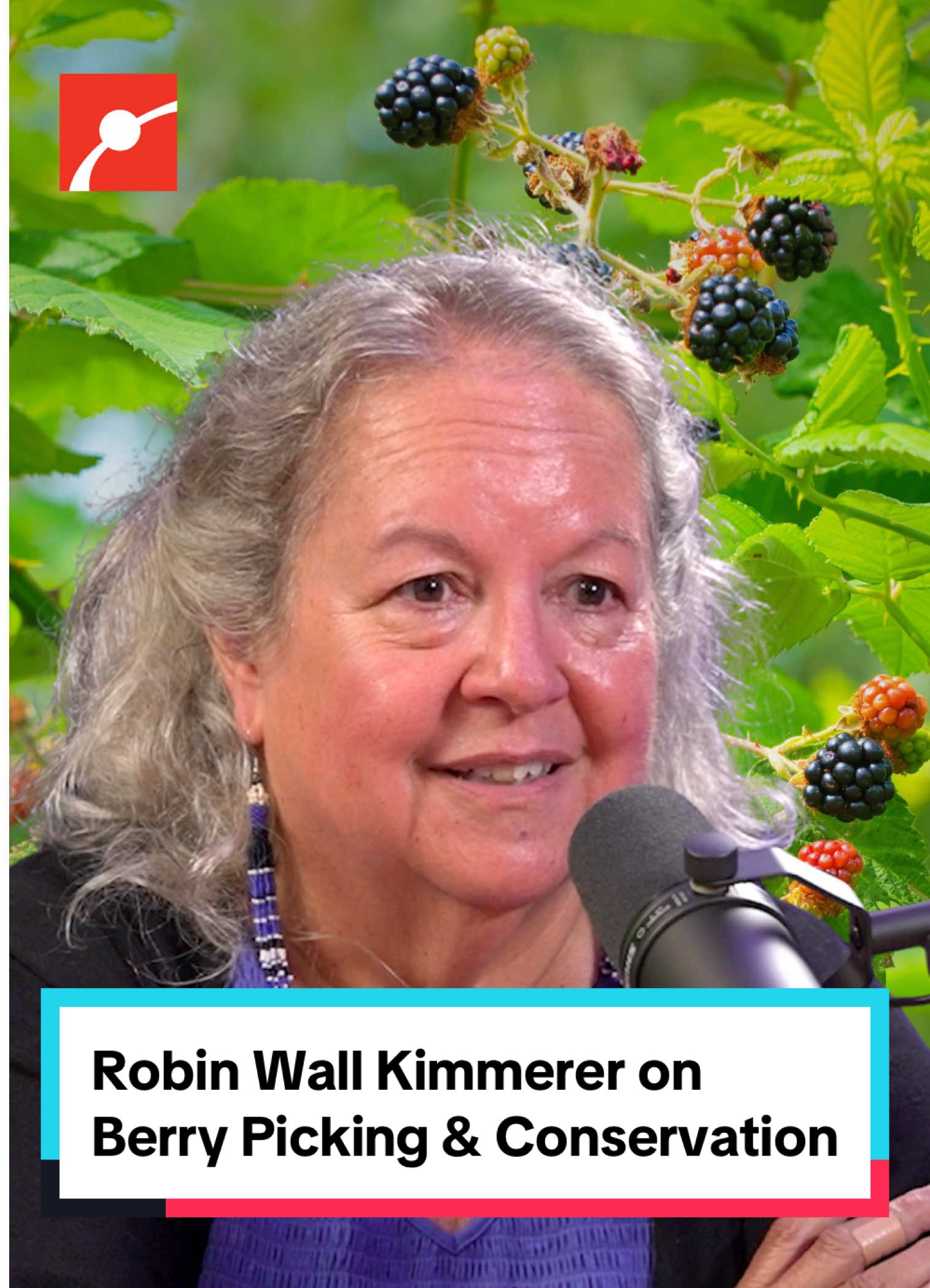 What if conservation started with berry picking? 🍓 Renowned ecologist and author Robin Wall Kimmerer invites us to see foraging not as extraction, but as connection. When we engage with the land through traditions like berry picking or sweetgrass harvesting, we don’t just witness nature, we fall in love with it. #RobinWallKimmerer #Conservation #Berries #Environment #LearnSomethingNew