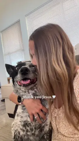 TYJ for changing my life 🫶🏼🪽  #dogs #blueheeler #noahkahan #fyp #thankyoujesus 