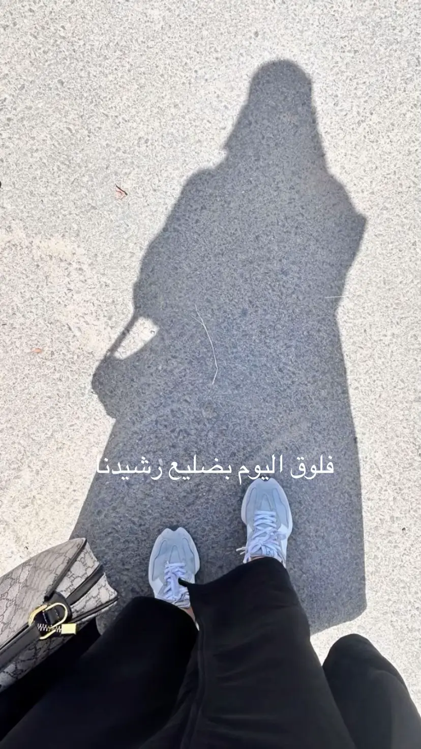 ابانات ضليع رشيد 