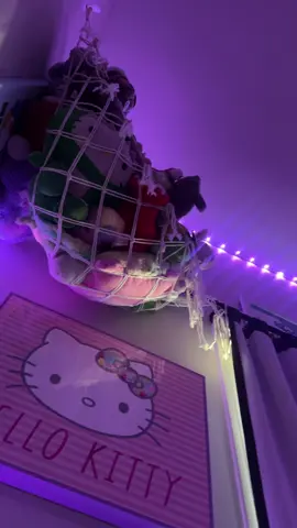 #tiktok #tiktokshop #tiktokmademebuyit #fypシ #fyp   