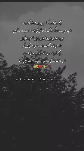 کر کچھ علاج میرا بھی اے حکیمِ محبت  ہر رات وہ یاد آتے ہیں مجھ سے سویا نہیں جاتا #fypシ゚viral #repost #unfreezemyaccount #aloneforever #bewafaa @TiktokPakistanOfficial 