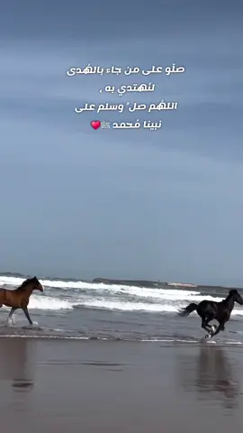 *الفوائد والثمرات الحاصلة بالصلاة على النبي ﷺ:* *١- امتثالُ أمْر الله سبحانه وتعالى.* *٢- موافقته سبحانه في الصلاة عليه ﷺ.* *٣- موافقة ملائكته فيها.* *٤- حصول عشر صلوات من الله عَلَى المُصَلِّي عليه مرَّة.* *٥- أنه يُرْفَعُ له عشر درجات*. *٦- أنه يُكْتَبُ له عشر حسنات.* *٧- أنه يُمْحَى عنه عشر سيئات*. *٨- أنه يُرْجَى إجابة دعائه إذا قدَّمها أمامه.* *٩- أنها سبب لشفاعته ﷺ إذا قرنها بسؤال الوسيلة له أو أفردها.* *١٠- أنها سبب لغفران الذنوب.*  *١١- أنها سبب لكفاية الله العبد ما أهمَّه.* *١٢- أنها سبب لقرب العبد منه ﷺ يوم القيامة.*  *١٣- أنها تقوم مقام الصَّدقة لذي العُسْرَة.* *١٤- أنها سبب لقضاء الحوائج.* *١٥- أنها سبب لصلاة الله على المصلِّي وصلاة ملائكته عليه.* *١٦- أنها زكاة للمصلي وطهارة له.* *١٧- أنها سبب لتبشير العبد بالجنة قبل موته.*  *١٨- أنها سبب للنَّجاة من أهوال يوم القيامة.*  *١٩- أنها سبب لِردِّ النَّبي ﷺ الصلاة والسلام على المصلي والمسلم عليه.* *٢٠- أنها سبب لتذكر العبد ما نَسِيَه.*  *٢١- أنها سبب لطيب المجلس، وأن لا يعود حَسْرة على أهله يوم القيامة.* *٢٢- أنها سبب لنفي الفقر.*  *٢٣- أنها تنفي عن العبد اسم البُخْل إذا صلى عليه عند ذكره ﷺ*. *٢٤- نجاته من الدُّعاء عليه بِرُغْمِ الأنْف إذا تَرَكَها عند ذكره ﷺ.* *٢٥- أنها ترمي صاحبها على طريق الجنة، وتخطئ بتاركها عن طريقها*. *٢٦- أنها تنجي من نَتَنِ المجلس الذي لا يُذكرُ فيه الله ورسوله، ويُحْمد الله تعالى ويُثْنى عليه فيه، ويُصلَّى على رسوله ﷺ.* *٢٧- أنها سبب لتمام الكلام الذي ابتدئ بحمد الله والصلاة على رسوله ﷺ.* *٢٨- أنها سبب لوفور نور العبد على الصِّراط*. *٢٩- أنه يخرج بها العبد عن الجفاء*. *٣٠- أنها سبب لإلقاء الله سبحانه الثناء الحسن للمصلي عليه بين أهل السماء والأرض.* *٣١- أنها سبب للبركة في ذات المصلي وعمله وعمره، وأسباب مصالحه.* *٣٢- أنها سبب لنيل رحمة الله له.* *٣٣- أنها سبب لدوام محبَّته للرسول ﷺ وزيادتها وتضاعفها.* *٣٤- أن الصَّلاة عليه ﷺ سَبَبٌ لِمَحبَّته للعبد.* *٣٥- أنها سبب لهداية العبد وحياة قلبه.*  *٣٦- أنها سبب لِعَرْض اسْم المُصلِّي عليه ﷺ وذكره عنده.*  *٣٧- أنها سبب لتثبيت القدم على الصراط، والجواز عليه.* *٣٨- أن الصلاة عليه ﷺ أداءٌ لأقل القليل من حَقِّه، وشكر له على نعمته التي أنعم الله بها علينا.* *٣٩- أنها متضمِّنة لذِكْر الله وشكره، ومعرفة إنعامه على عبيده بإرساله*.  *٤٠- أن الصلاة عليه ﷺ من العبد هي دعاء.* #جلاء_الأفهام #اكتب_شي_توجر_عليه #اللهم_صلي_على_نبينا_محمد #شيوخ_الامارات 