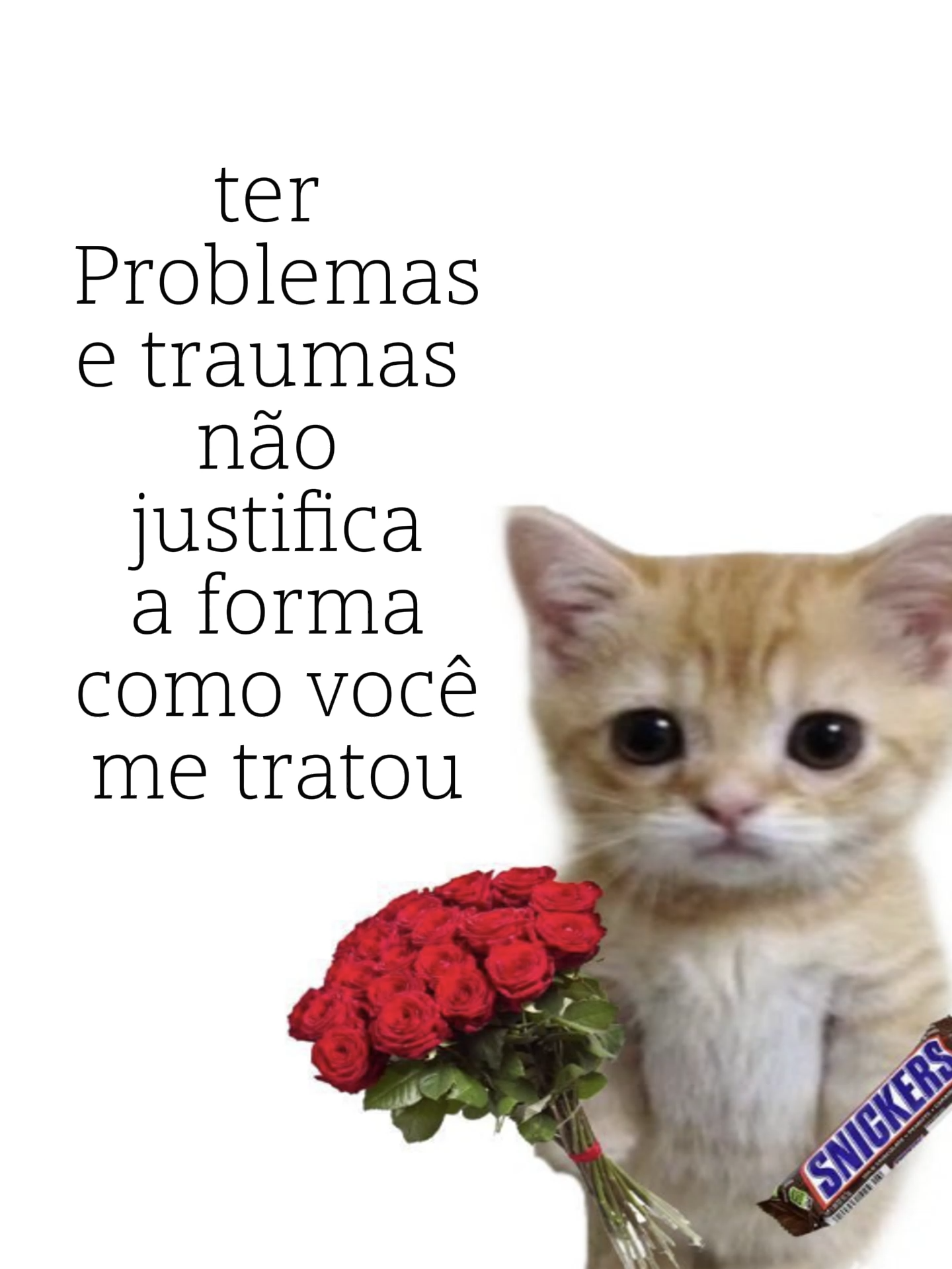 #fyp #retable #cat #macmiller