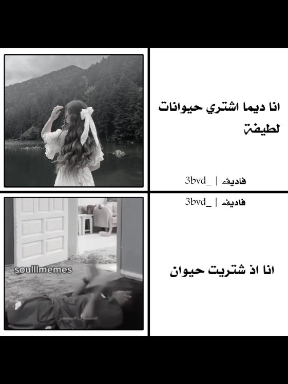 الرحمة #تصميمي❤️ #تصميم_فيديوهات🎶🎤🎬 #قرد #حيوان 
