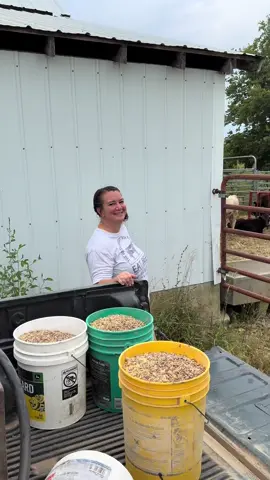 #fyp #farmlife #farmtok #agriculture @Jarrod Simpson 