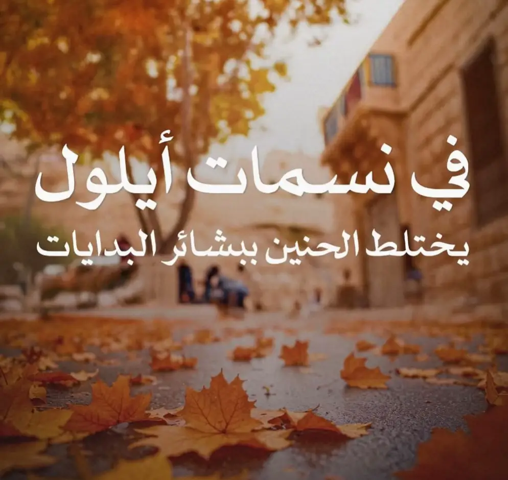 #jordan #الأردن #jordan_irbid_amman #CapCut #foryou 