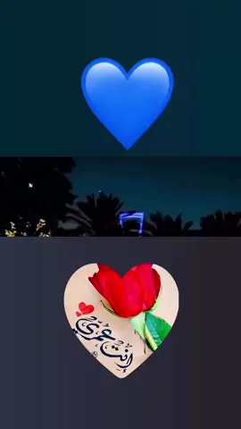 #احبك🌹❤️🌹اكسبلور 