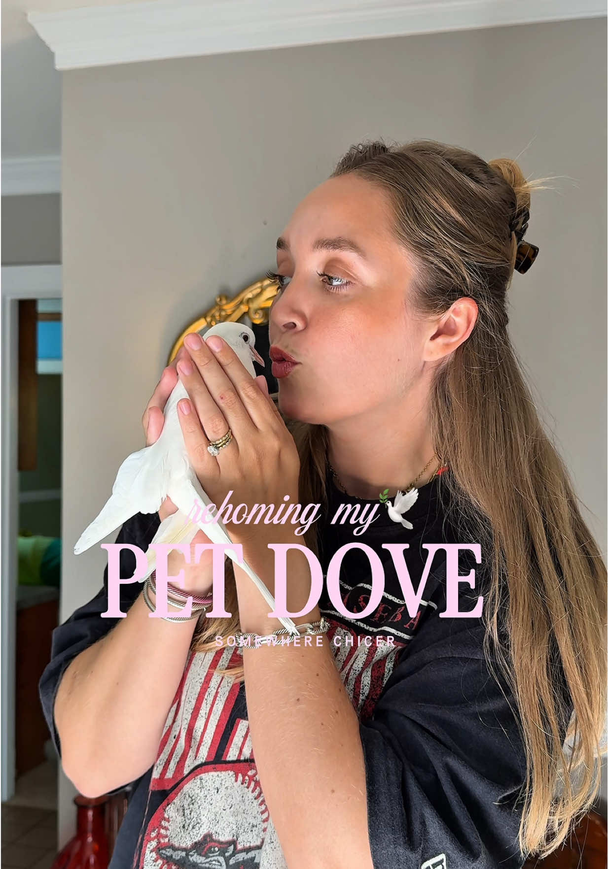 Do you think she’ll like her new home? 🕊️🌹🏡 #petdove #dove 
