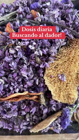 #elpoderdelamor18 