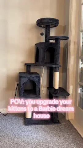 I adore this pink cat tree😍😍😍#catsoftiktok #cattree #barbie #kitten #pinkcattree 
