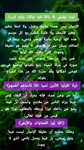 #الدكر_الحكيم #كتاب_الله 