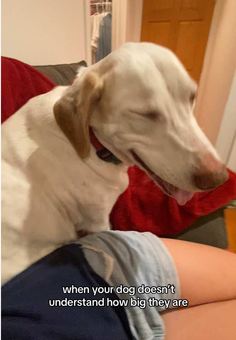 why did he give me that look 😭😭😭