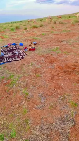 أجواء الخريف ،،،،، النيجر،،،، شينتا ،،،،ترصدات الشعب الصينى ماله حاله 