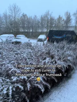Ce să vrei mai mult de atât 🥹🥹#amazon #📦 #germany #amazonprime 
