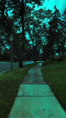 September feelings 🩵 #ambient #rain #bluehour #walk #rain 