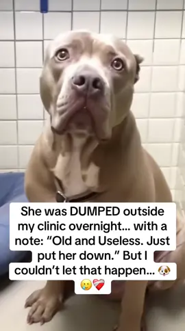 Someone dumped her like TRASH. 💔 Left outside my clinic overnight… with a note: “Old and useless. Just put her down.” That hopeless look in her eyes BROKE me. 😞 She was completely frozen… like she’d given up. I’ve worked with rescue dogs for 32 years, but this was unlike anything I’d seen. 😢 We think she came from a backyard breeder… and once she couldn’t produce puppies anymore, they DUMPED her like garbage… I ran bloodwork, X-rays — everything pointed to: ➡️ Chronic inflammation ➡️ Severe joint degeneration ➡️ Full-body malnourishment This wasn’t just aging. It was years of abuse, neglect, and poor nutrition. In most cases, dogs like her end up in overcrowded shelters… and get put down within DAYS. 💔 I couldn’t let that happen. So I took her in myself. I named her Rosie 💕, and my daughters fell in love with her immediately. 🥹 At first, she could barely stand or eat a full meal. So we started slowly: 🍲 Warm bone broth, 🎃 Boiled pumpkin and chicken… just enough to gently rebuild her strength. And the one thing I always recommend, especially for senior dogs like Rosie, is Taily Collagen: ✅ 100% natural ✅ Supports joints, skin, gut & recovery ✅ Organic — no fillers or artificial junk ✅ Hydrolyzed for better absorption so it actually works Because after age 6, dogs lose collagen FAST. And once it’s gone, the damage snowballs… stiffness, shedding, slow healing, poor skin. Rosie couldn’t chew much at first so I stirred Taily right into her food and broth daily. ✨ WEEK 2 — she stood without shaking ✨ WEEK 4 — tail wagged for the first time ✨ MONTH 2 — followed me room to room ✨ MONTH 3 — jumped up on the couch to cuddle 🥹 Now she’s finally living the life every dog deserves: 💖 Loved. ✅ Safe. ✨ Free from pain. After everything she’s been through… she finally knows what it means to just be a dog. If your dog is over 6, don’t wait. Collagen loss happens fast, and most owners don’t realize it until it’s too late. ⏳ You can get Taily Collagen on Amazon. Or just click the link in my bio for the exact one I trust. 💬 Comment “ROSIE” and I send you her full healing plan and tag you in PART 2 ❤️ #pethealth #doghealth #dogmom #vet #rescuedog