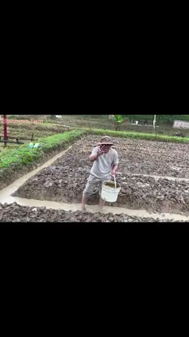 BANYAK GAYA, PETANI MILENIAL INI. HANYA IKHTIAR NYA itu yang ok. He ... Yuk, BERTANI ITU KECE. #wongsofarm  #desakorporasi  #semuabisasukses  #petanimilenial 