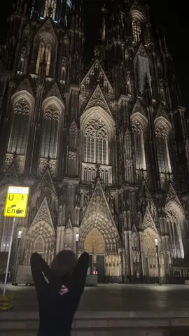 #köln #кёльнскийсобор #domcathedralköln 