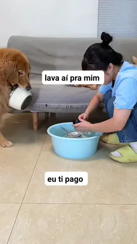 #humor 